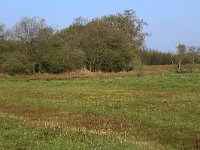 NL, Drenthe, Aa en Hunze, Drentsche Aa 6, Saxifraga-Hans Boll