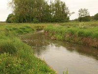 NL, Drenthe, Assen, Deurzerdiep 9, Saxifraga-Hans Boll