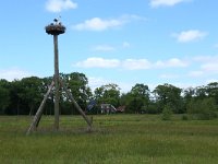 NL, Drenthe, Tynaarlo, Oudemolensche Diep 76, Saxifraga-Hans Boll