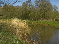 NL, Limburg, Weert, Heijkersbroek 5, Saxifraga-Jan van der Straaten