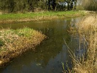 NL, Limburg, Weert, Heijkersbroek 8, Saxifraga-Jan van der Straaten