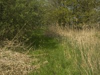 NL, Noord-Brabant, Baarle Nassau, De Broskens 6, Saxifraga-Jan van der Straaten