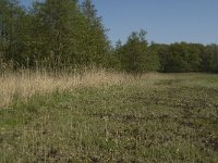 NL, Noord-Brabant, Baarle Nassau, Kromme Hoek 15, Saxifraga-Jan van der Straaten