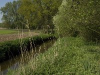 NL, Noord-Brabant, Baarle Nassau, Kromme Hoek 16, Saxifraga-Jan van der Straaten