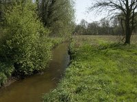 NL, Noord-Brabant, Baarle-Nassau, Halsche Beemden 16, Saxifraga-Jan van der Straaten