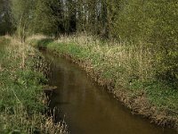 NL, Noord-Brabant, Baarle-Nassau, Halsche Beemden 17, Saxifraga-Jan van der Straaten