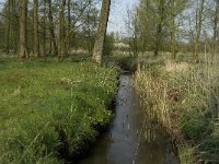 NL, Noord-Brabant, Baarle-Nassau, Halsche Beemden 28, Saxifraga-Jan van der Straaten