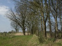 NL, Noord-Brabant, Baarle-Nassau, Halsche Beemden 9, Saxifraga-Jan van der Straaten