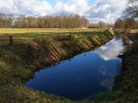 NL, Noord-Brabant, Bladel, Beersbroek 17, Saxifraga-Tom Heijnen