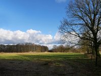 NL, Noord-Brabant, Bladel, Beersbroek 18, Saxifraga-Tom Heijnen