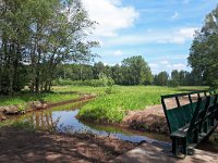 NL, Noord-Brabant, Bladel, Beersbroek 26, Saxifraga-Tom Heijnen