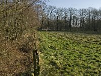 NL, Noord-Brabant, Bladel, Beerze, Westelbeersche Broek 1, Saxifraga-Jan van der Straaten