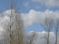 NL, Noord-Brabant, Boxtel, Rooije Steeg 3, Saxifraga-Jan van der Straaten