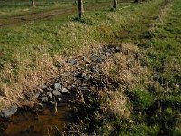 NL, Noord-Brabant, Boxtel, Vleeschbroek 6, Saxifraga-Jan van der Straaten