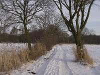 NL, Noord-Brabant, Eindhoven, Collse Zeggen 10, Saxifraga-Jan van der Straaten