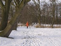 NL, Noord-Brabant, Eindhoven, Collse Zeggen 11, Saxifraga-Jan van der Straaten