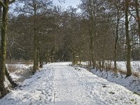 NL, Noord-Brabant, Eindhoven, Collse Zeggen 3, Saxifraga-Marijke Verhagen