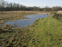 NL, Noord-Brabant, Oirschot, Westelbeersche Broek 10, Saxifraga-Jan van der Straaten