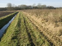 NL, Noord-Brabant, Oirschot, Westelbeersche Broek 4, Saxifraga-Jan van der Straaten