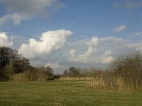 NL, Noord-Brabant, Sint-Oedenrode, Nijnsel, Dommelbeemden 32, Saxifraga-Jan van der Straaten