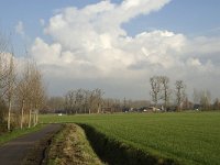 NL, Noord-Brabant, Sint-Oedenrode, Olland 1, Saxifraga-Jan van der Straaten