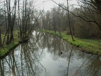 B, Liege, Plombieres, Geul 1, Saxifraga-Willem van Kruijsbergen