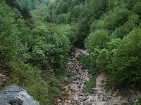 F, Jura, Doucier, Cascades du Herisson 2, Saxifraga-Willem van Kruijsbergen