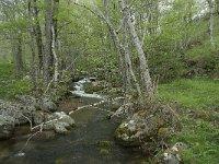 F, Lozere, Fraissinet-de-Lozere, Cascade de Runes 7, Saxifraga-Willem van Kruijsbergen