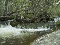 F, Lozere, Fraissinet-de-Lozere, Cascade de Runes 8, Saxifraga-Willem van Kruijsbergen