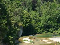 F, Lozere, Le Rozier, Gorge du Tarn 4, Saxifraga-Dirk Hilbers