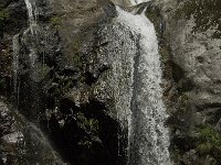 F, Pyrenees Orientales, Vernet-les-Bains, Gorges de Saint Vincent 3, Saxifraga-Jan van der Straaten