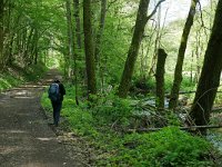 D, Rheinland-Pfalz, Daun, Eisenschmitt, Salm near Kloster Himmerod 3, Saxifraga-Tom Heijnen