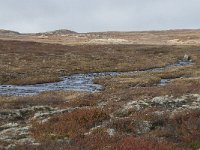 N, Buskerud, Hol, Tuva turisthytte 102, Saxifraga-Annemiek Bouwman