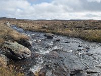 N, Buskerud, Hol, Tuva turisthytte 106, Saxifraga-Annemiek Bouwman