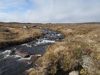 N, Buskerud, Hol, Tuva turisthytte 107, Saxifraga-Annemiek Bouwman