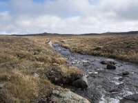 N, Buskerud, Hol, Tuva turisthytte 40, Saxifraga-Willem van Kruijsbergen