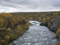 N, Trondelag, Oppdal, Gronbakken 37, Saxifraga-Willem van Kruijsbergen