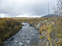 N, Trondelag, Oppdal, Gronbakken 43, Saxifraga-Annemiek Bouwman