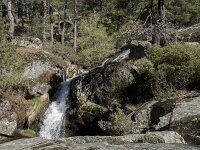 E, Avila, El Hornillo, Arroyo de las Alforzas 2, Saxifraga-Willem van Kruijsbergen