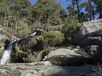 E, Avila, El Hornillo, Arroyo de las Alforzas 3, Saxifraga-Willem van Kruijsbergen