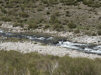E, Avila, San Juan de Gredos, Rio Barbellido 12, Saxifraga-Willem van Kruijsbergen