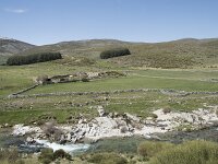 E, Avila, San Juan de Gredos, Rio Barbellido 17, Saxifraga-Willem van Kruijsbergen