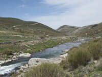 E, Avila, San Juan de Gredos, Rio Barbellido 21, Saxifraga-Willem van Kruijsbergen