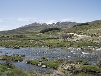E, Avila, San Juan de Gredos, Rio Barbellido 26, Saxifraga-Willem van Kruijsbergen