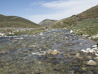 E, Avila, San Juan de Gredos, Rio Barbellido 27, Saxifraga-Willem van Kruijsbergen