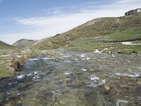 E, Avila, San Juan de Gredos, Rio Barbellido 29, Saxifraga-Willem van Kruijsbergen