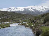 E, Avila, San Juan de Gredos, Rio Barbellido 30, Saxifraga-Willem van Kruijsbergen
