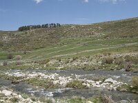 E, Avila, San Juan de Gredos, Rio Barbellido 31, Saxifraga-Willem van Kruijsbergen