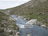 E, Avila, San Juan de Gredos, Rio Barbellido 43, Saxifraga-Willem van Kruijsbergen