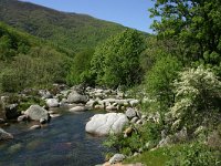 E, Caceres, Jarandilla de la Vera, Garganta de los Infiernos 1, Saxifraga-Dirk Hilbers